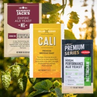 Gluten-Free Dry Beer Yeast