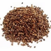 Cardamom Seed, Organic - 1 OZ