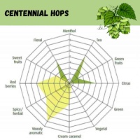 Centennial Pellet Hops - 1 OZ