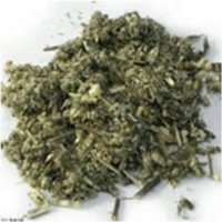 Mugwort (Dried) - 1 OZ