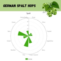 German Spalt Pellet Hops - 1 OZ