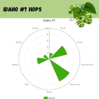 Idaho 7 Pellet Hops - 1 oz