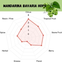 Mandarina Bavaria Pellet Hops - 1 OZ