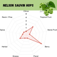 Nelson Sauvin Pellet Hops - 1 OZ