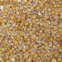 Organic Yellow Corn Malt - 25 LB