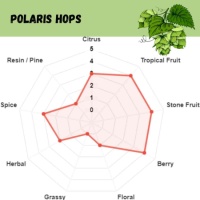 Polaris Pellet Hops - 1 OZ