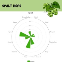 Spalt Pellet Hops - 1 OZ